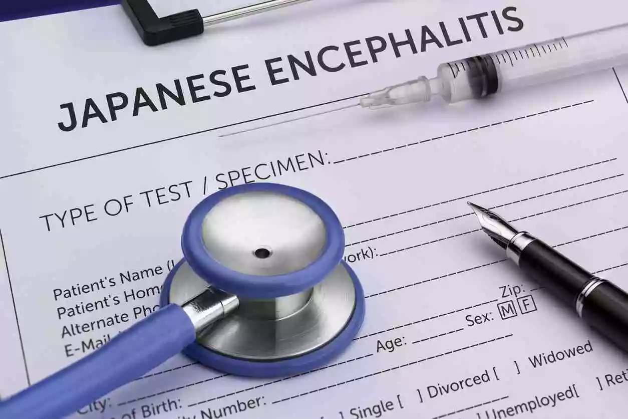 image of japanese encephalitis decision making form