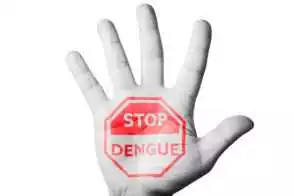 image of stop dengue