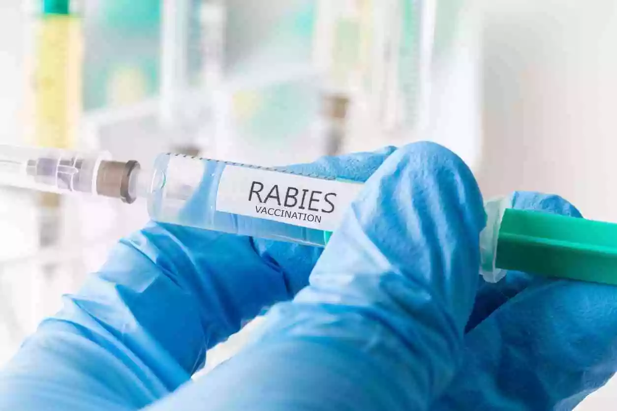 image of rabies vaccine