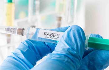 image of vaccine for rabies
